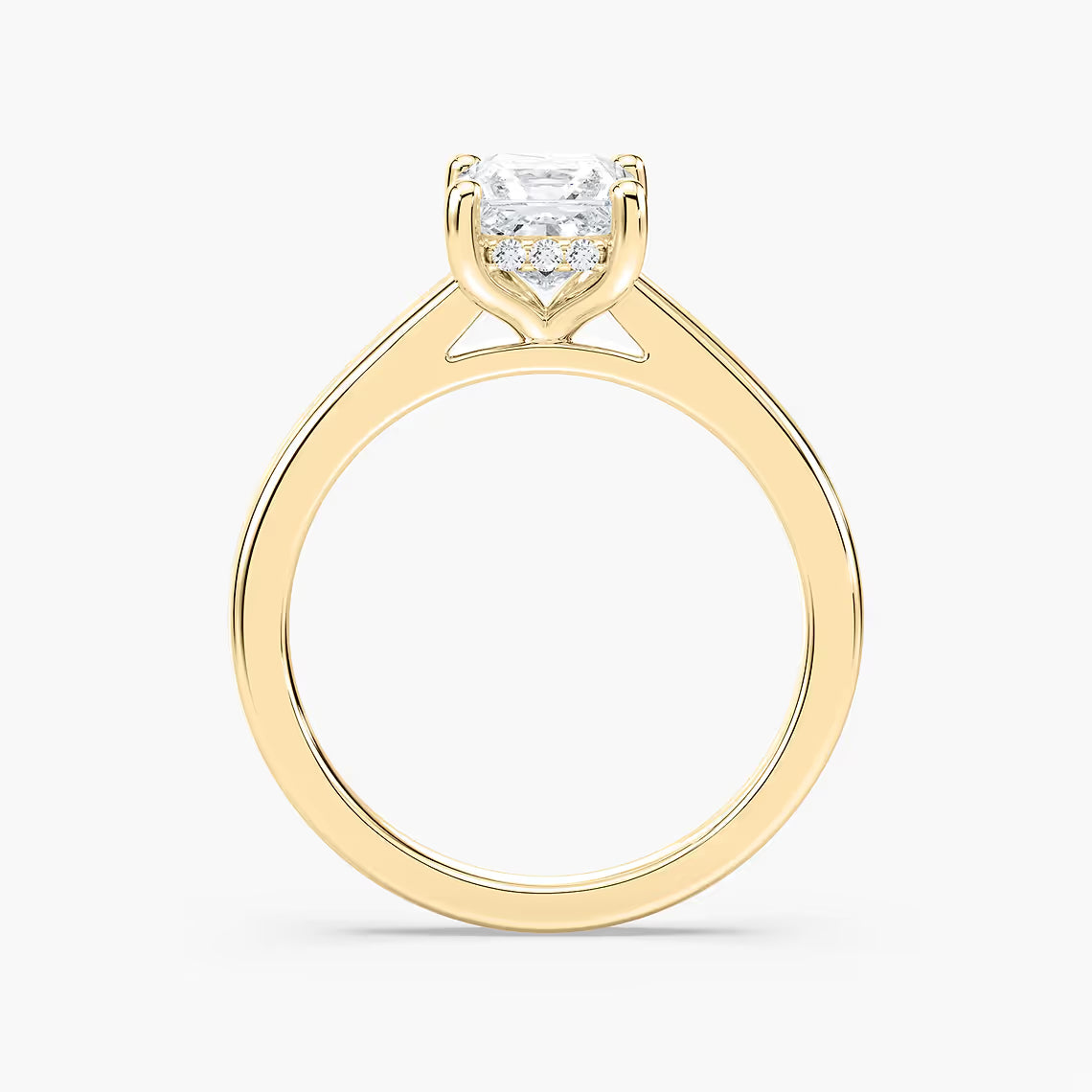 Stefania Hidden Halo Solitaire Engagement Ring