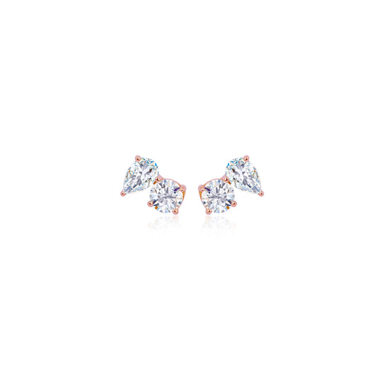 Paradoxical Love Earrings