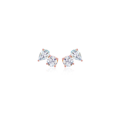 Paradoxical Love Earrings