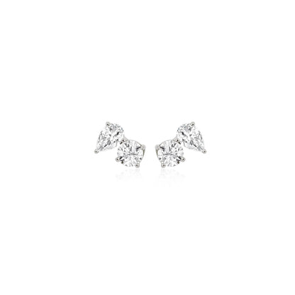 Paradoxical Love Earrings