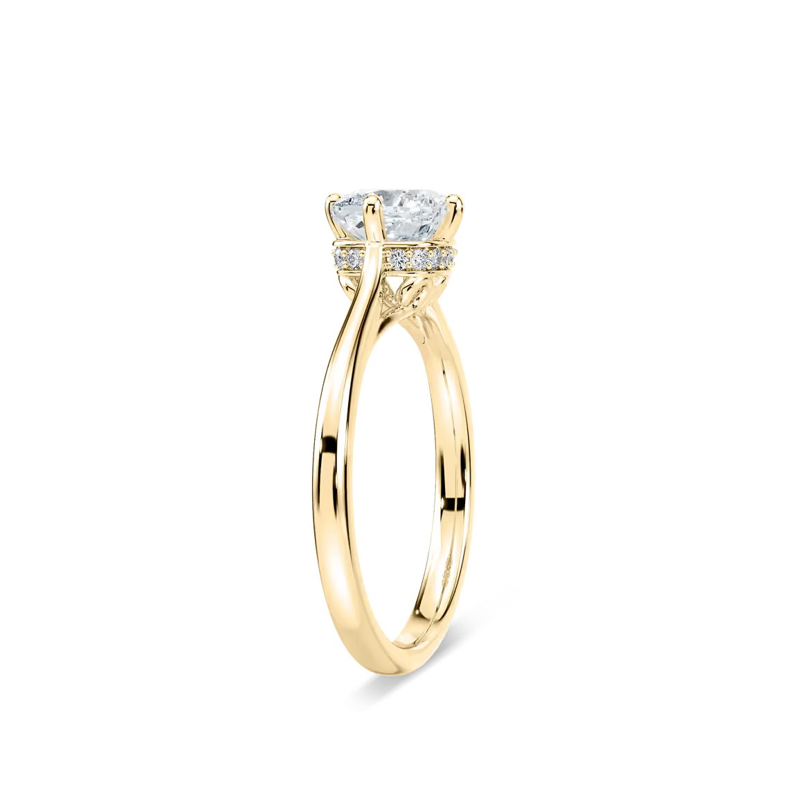 Ariel Hidden Halo Engagement Ring