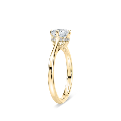 Ariel Hidden Halo Engagement Ring