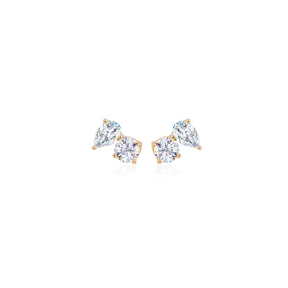 Paradoxical Love Earrings
